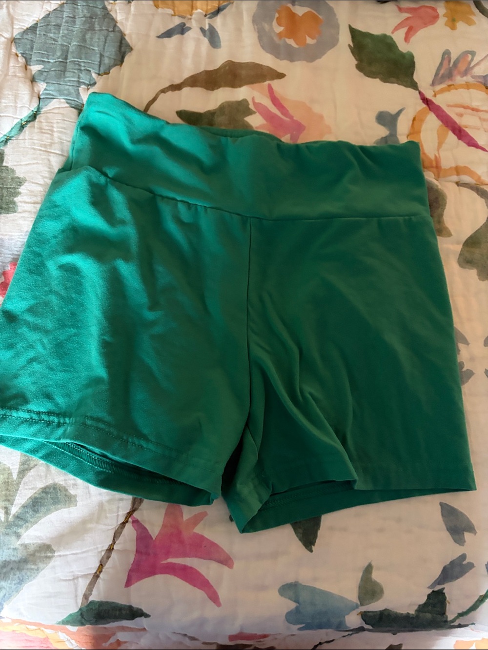 No Boundaries Emerald Green Bike Shorts